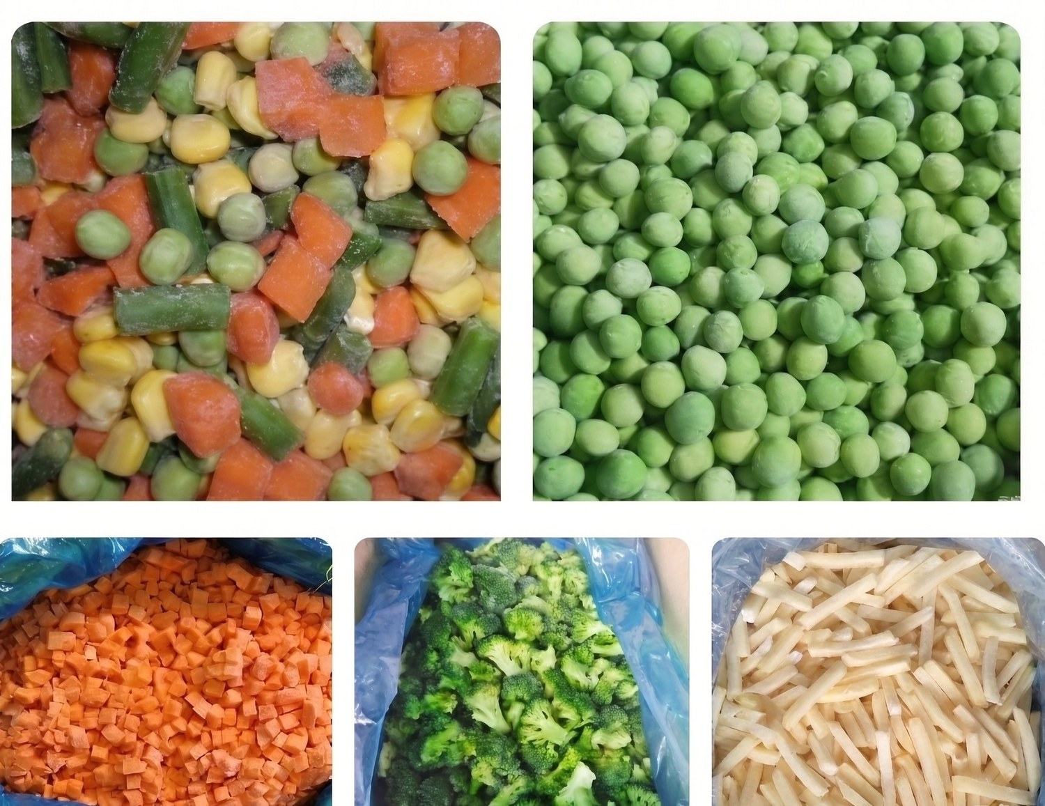 IQF frozen foods in bulk pack - mixed vegetables, green peas, diced carrots, broccoli florets and french fries